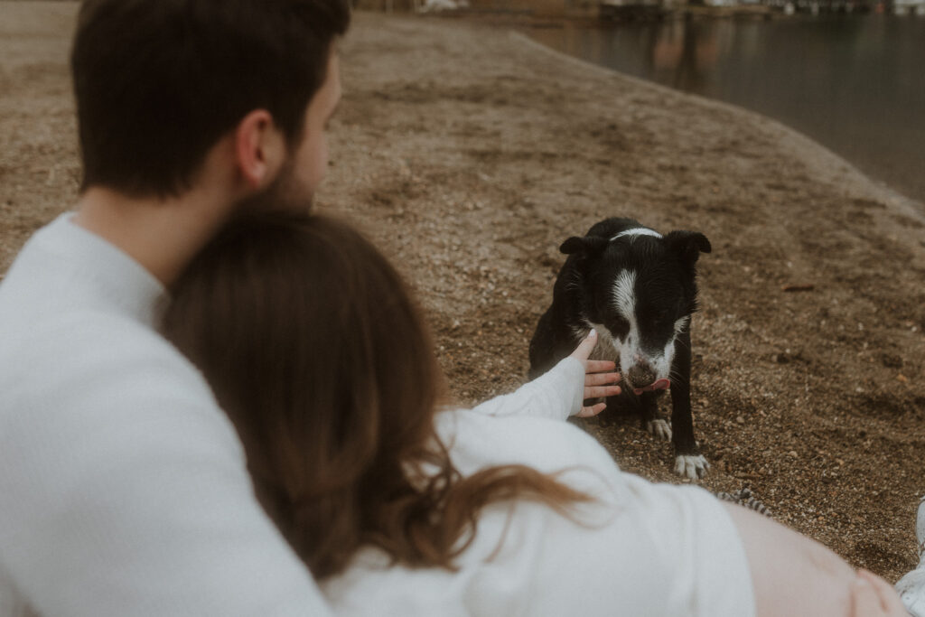 seance photo grossesse avec son chien