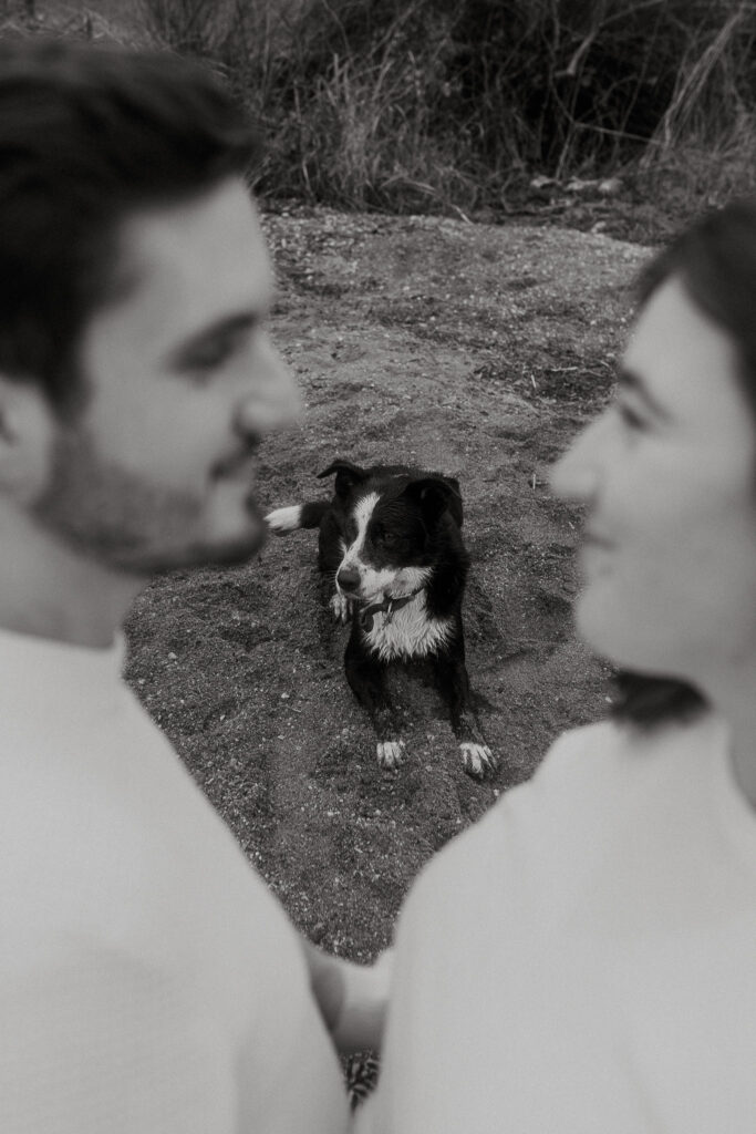 seance photo grossesse avec son chien